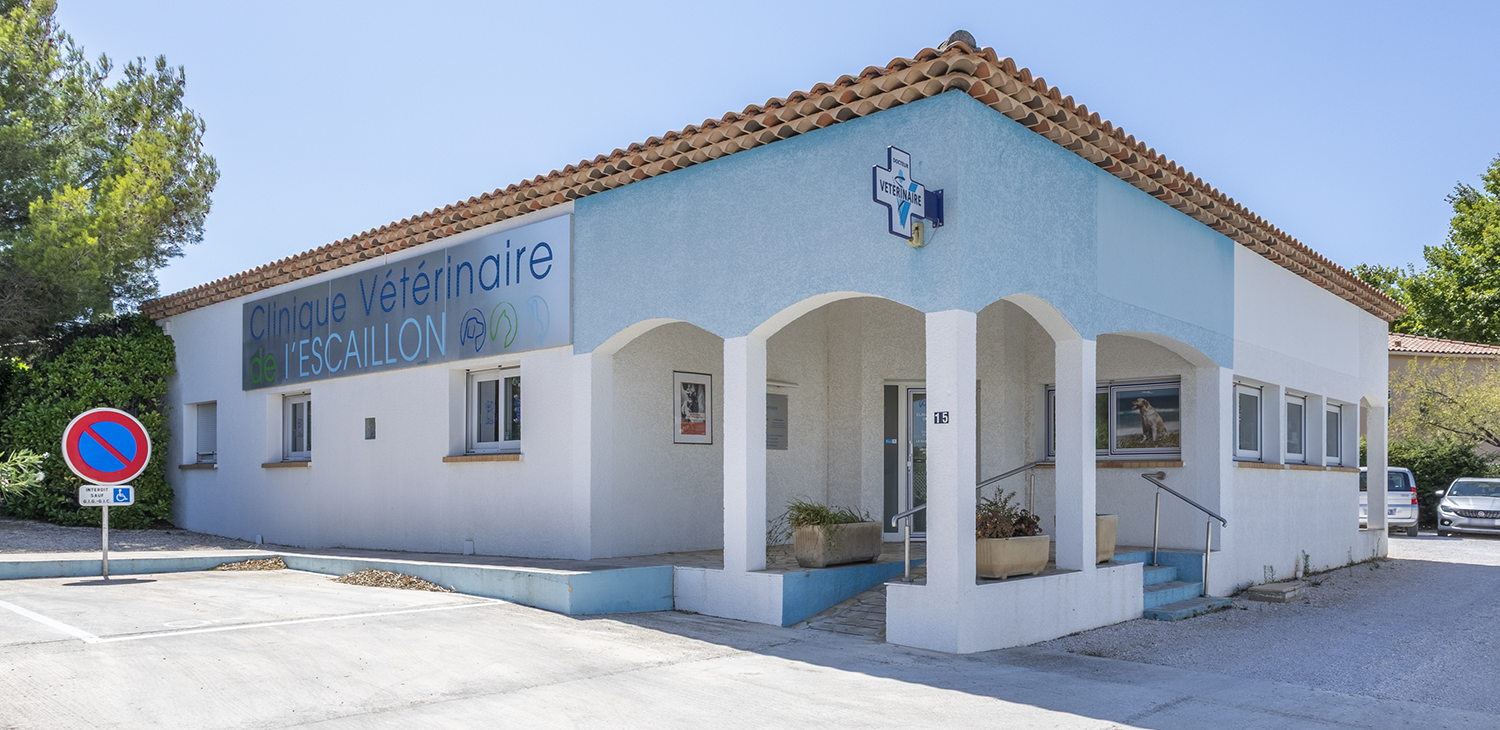 Clinique Vétérinaire de l’Escaillon