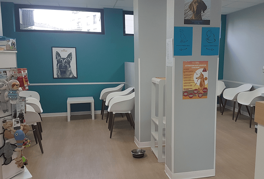 salle d'attente clinique vétérinaire montrouge