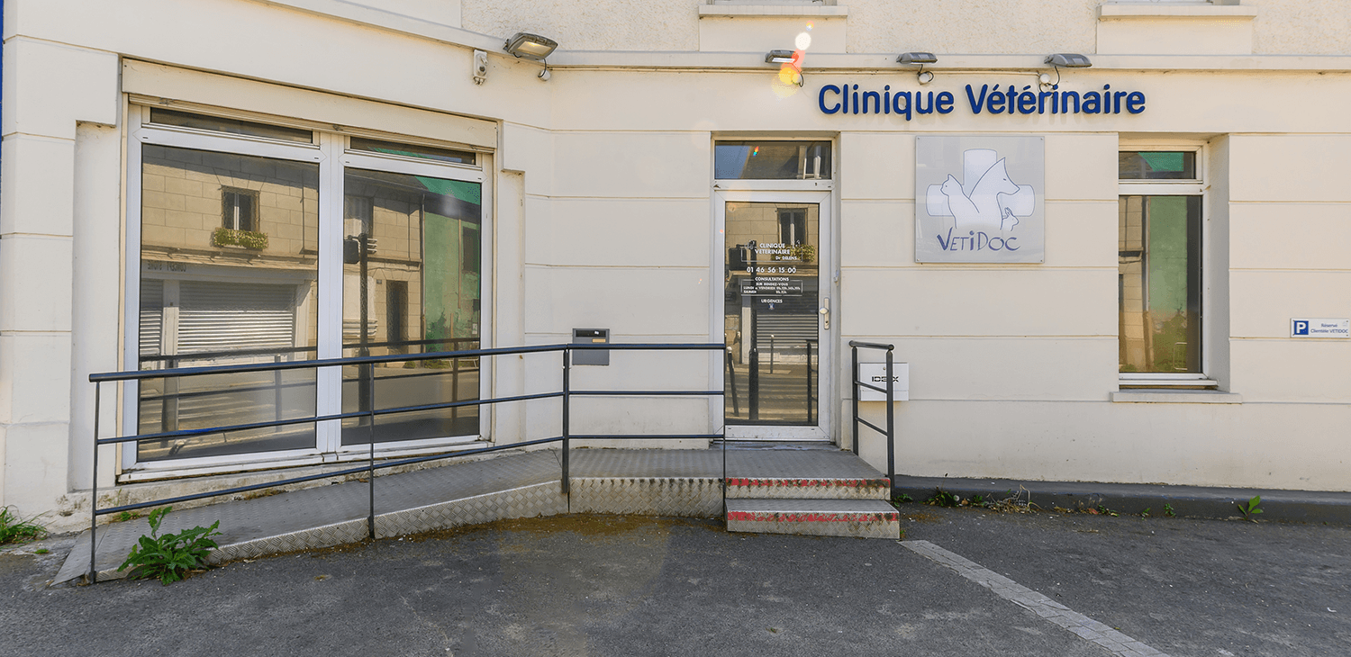 bagneux mon véto