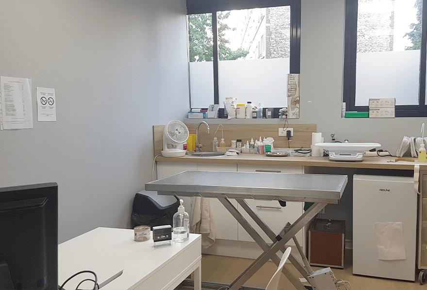 salle de consultation vétérinaire