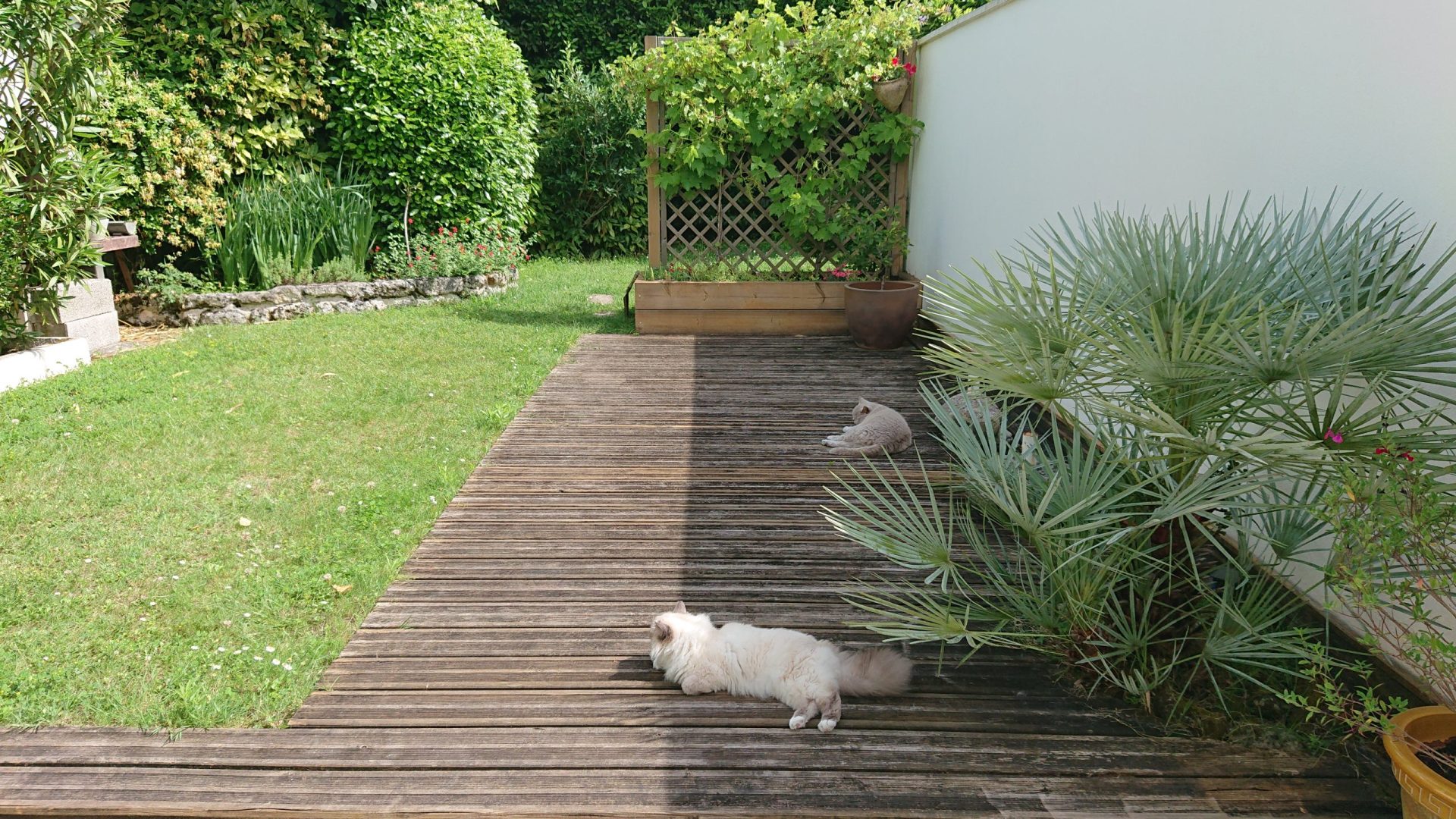photo jardin 1