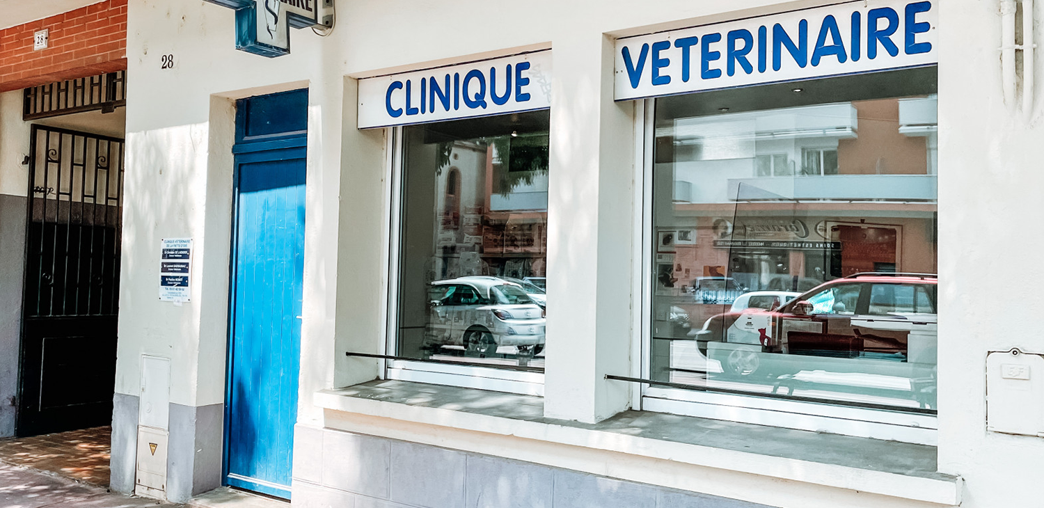 Clinique Vétérinaire de la Patte d’Oie