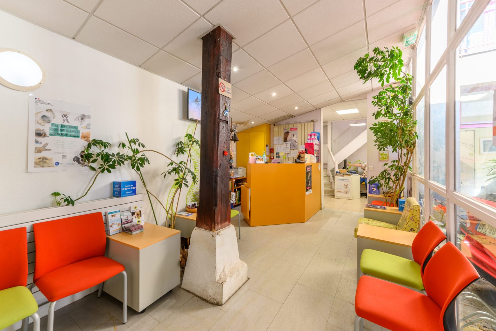 Clinique Vétérinaire réservée aux Chats