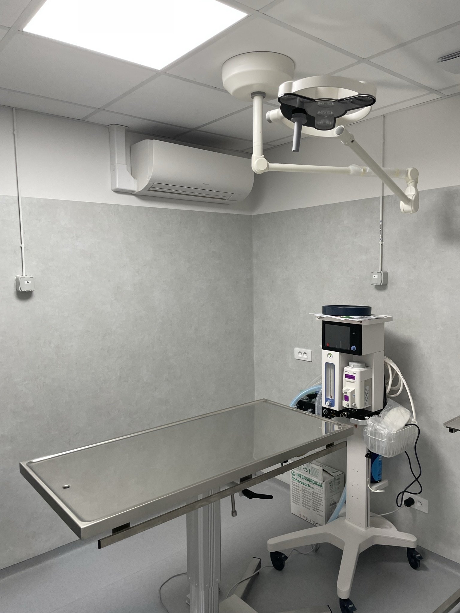 Salle de chirurgie chien et chat