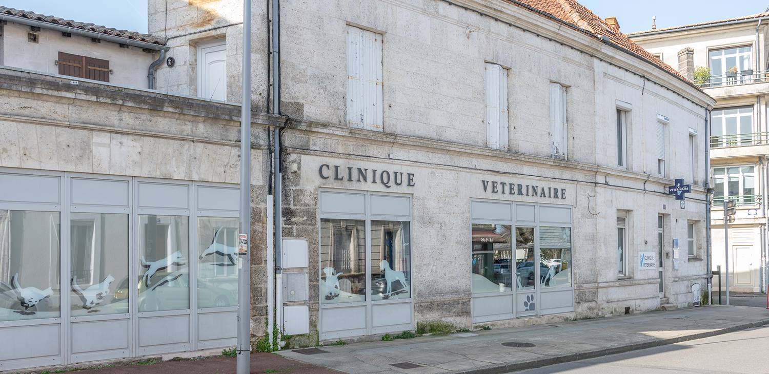 trame clinique header angoulême