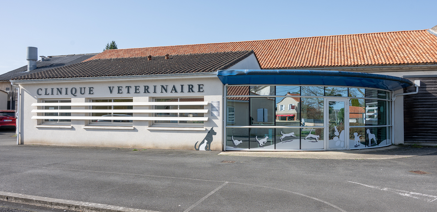 trame clinique header isle d'espagnac