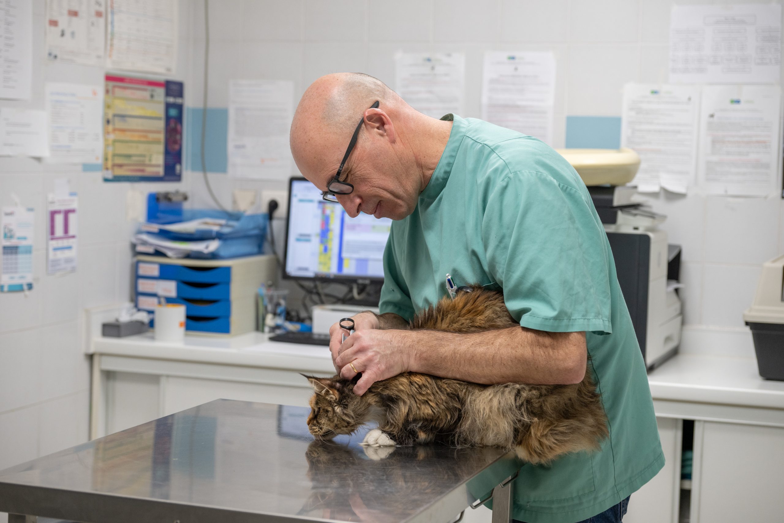  isled espagnac 20