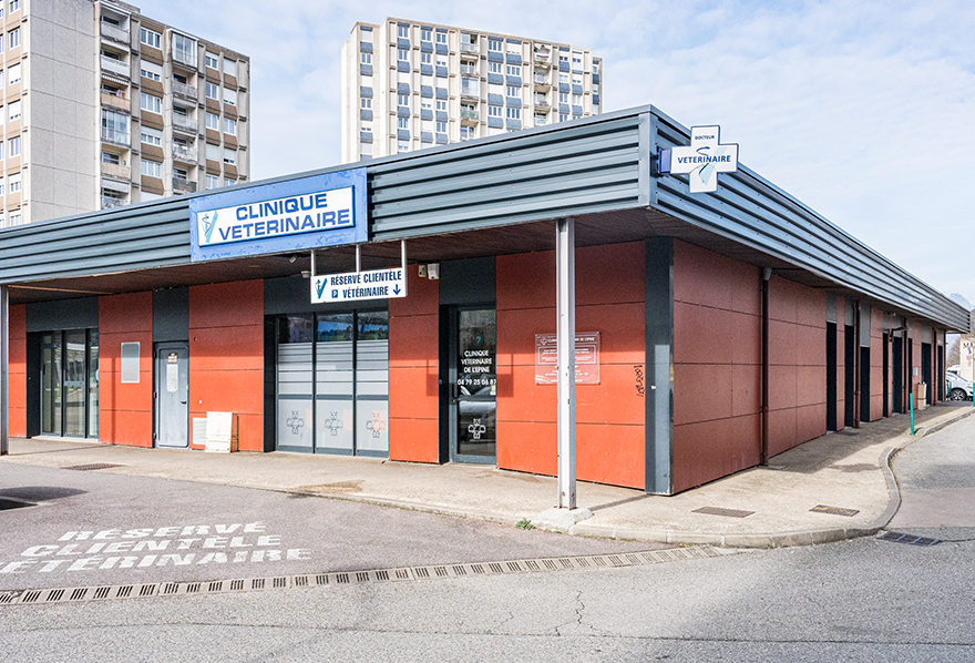 clinique vétérinaire mon véto cognin