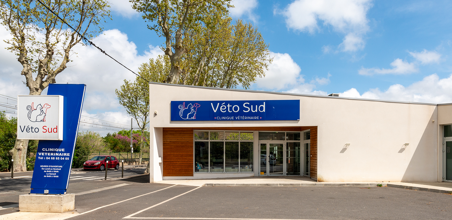 narbonne mon véto