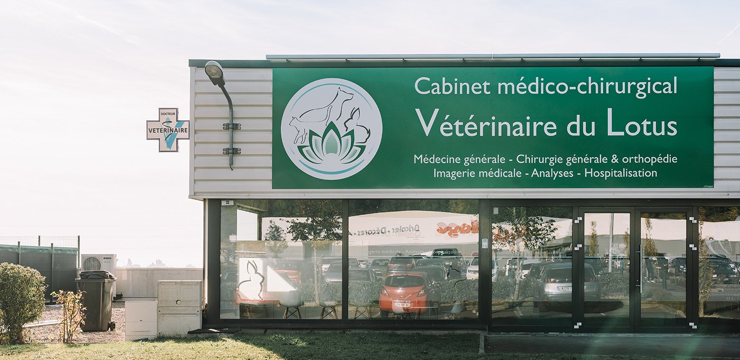 Cabinet Vétérinaire du Lotus