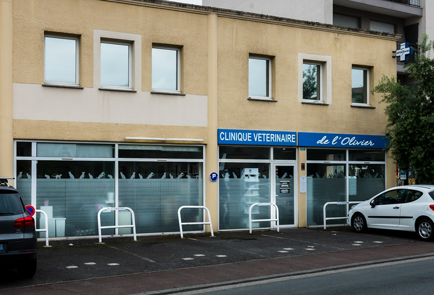 trame photos clinique