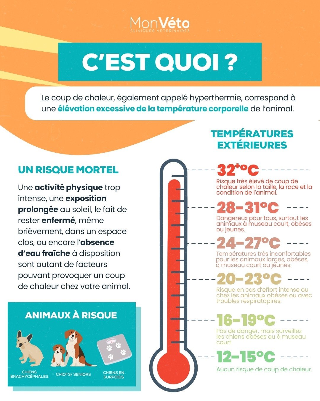 c'estquoi
