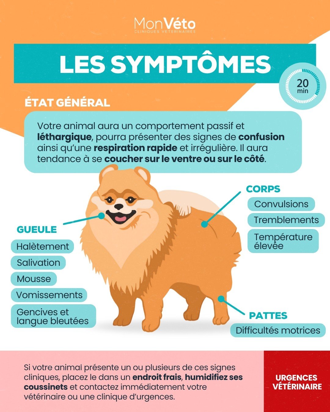 symptomes