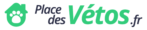 place des vetos.png